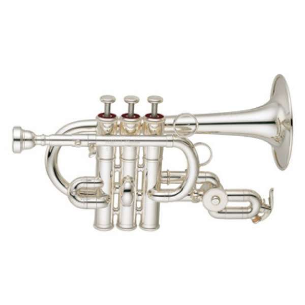 楽器の名前を答えてください