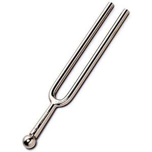 楽器の名前を答えてください