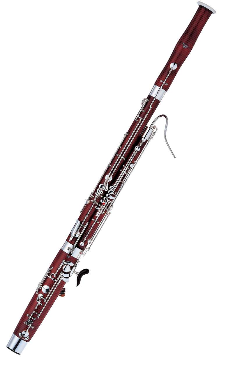 楽器の名前を答えてください