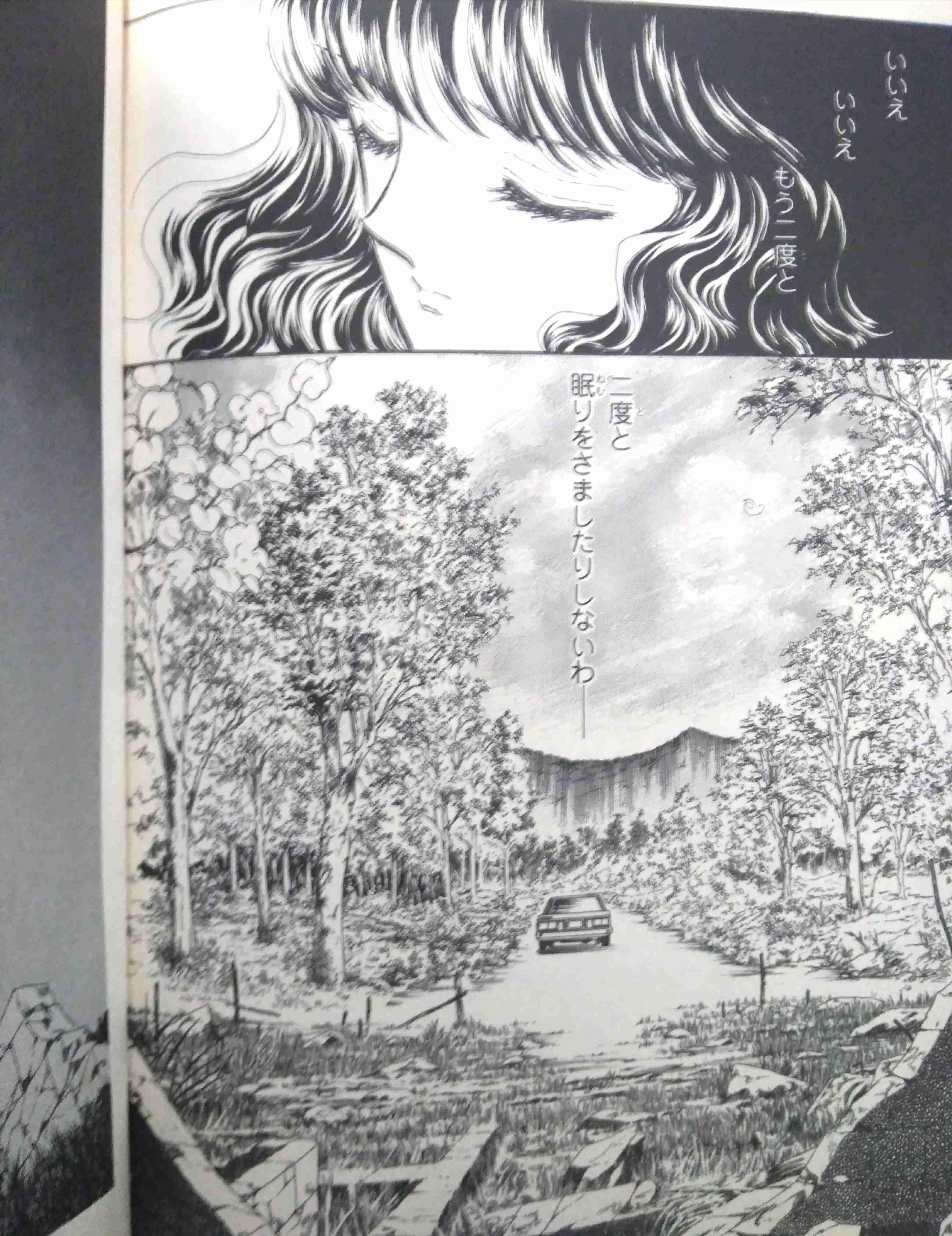 松本洋子さんの作品が好きな人