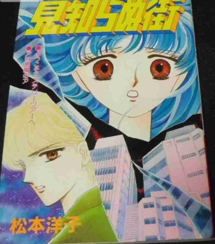 松本洋子さんの作品が好きな人