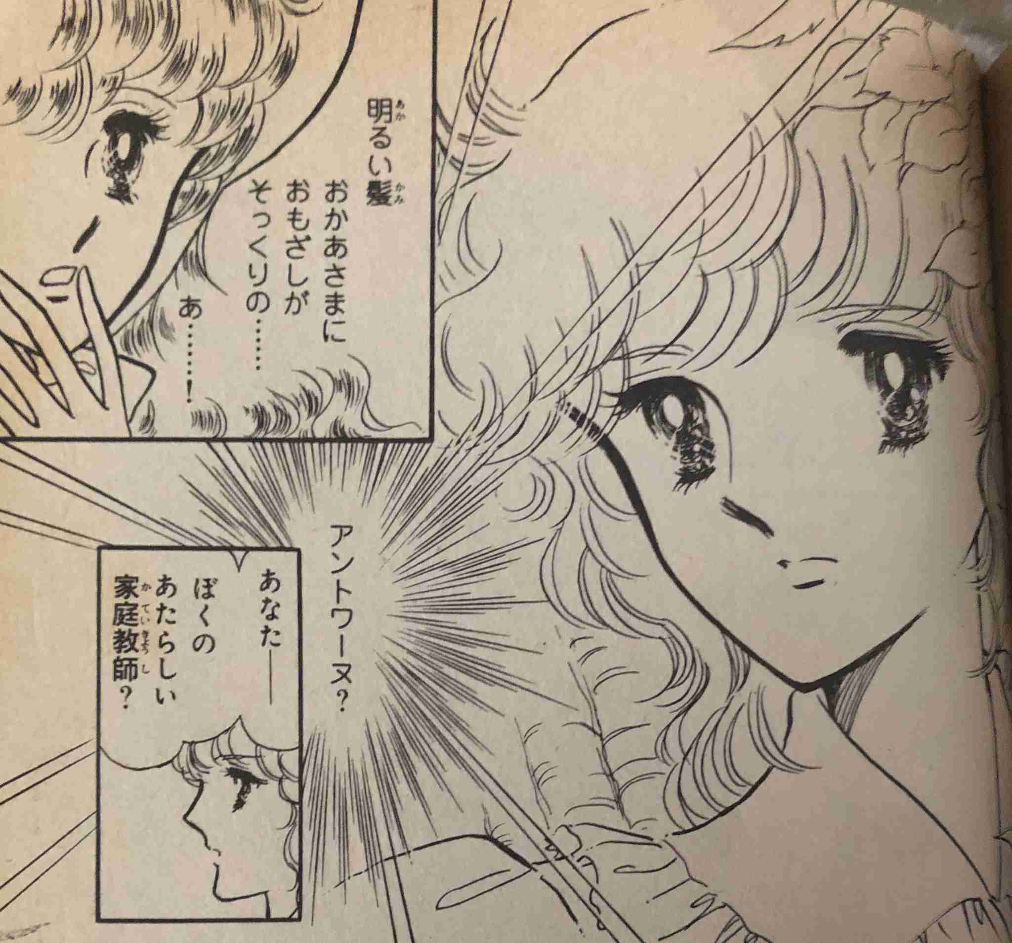 松本洋子さんの作品が好きな人