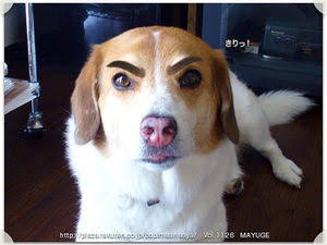 悩みを忘れて気持が晴れやかになる方法