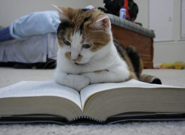 働くママの休日の過ごし方