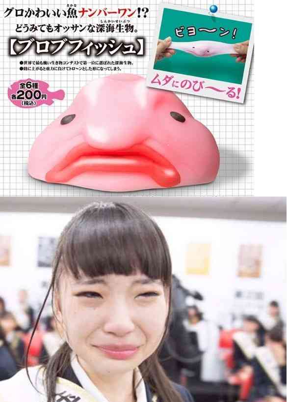 NGT48荻野由佳 脅迫男に罰金略式命令