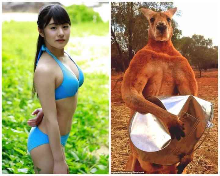 NGT48荻野由佳 脅迫男に罰金略式命令