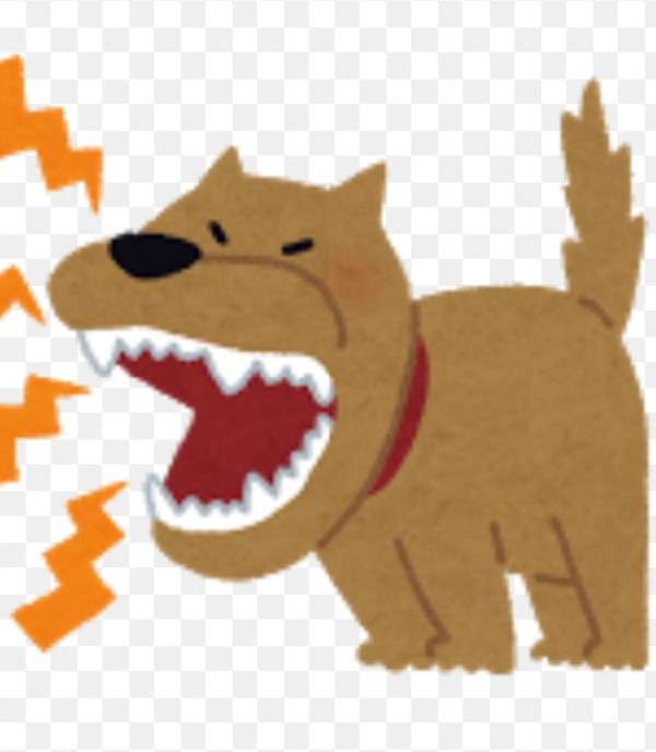 NGT48荻野由佳 脅迫男に罰金略式命令