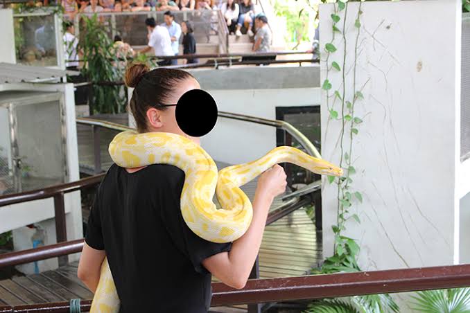 ペットって辛い時や悲しい時に慰めにきてくれませんか？