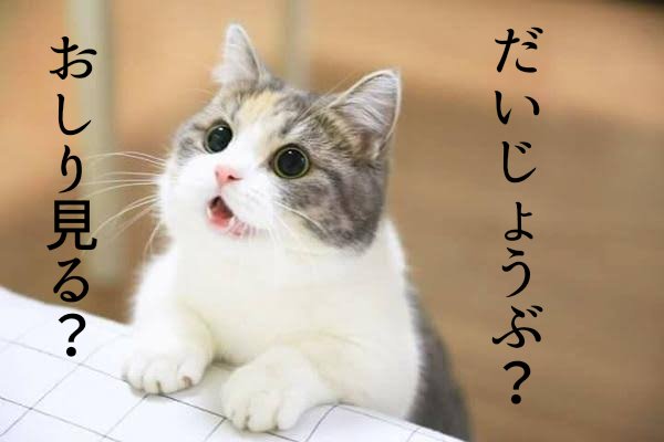ペットって辛い時や悲しい時に慰めにきてくれませんか？