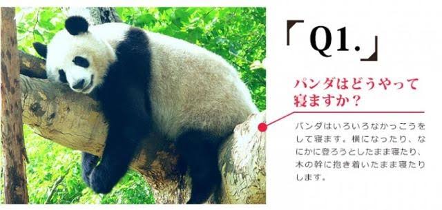 お嬢様と執事が交互に現れるトピPart2