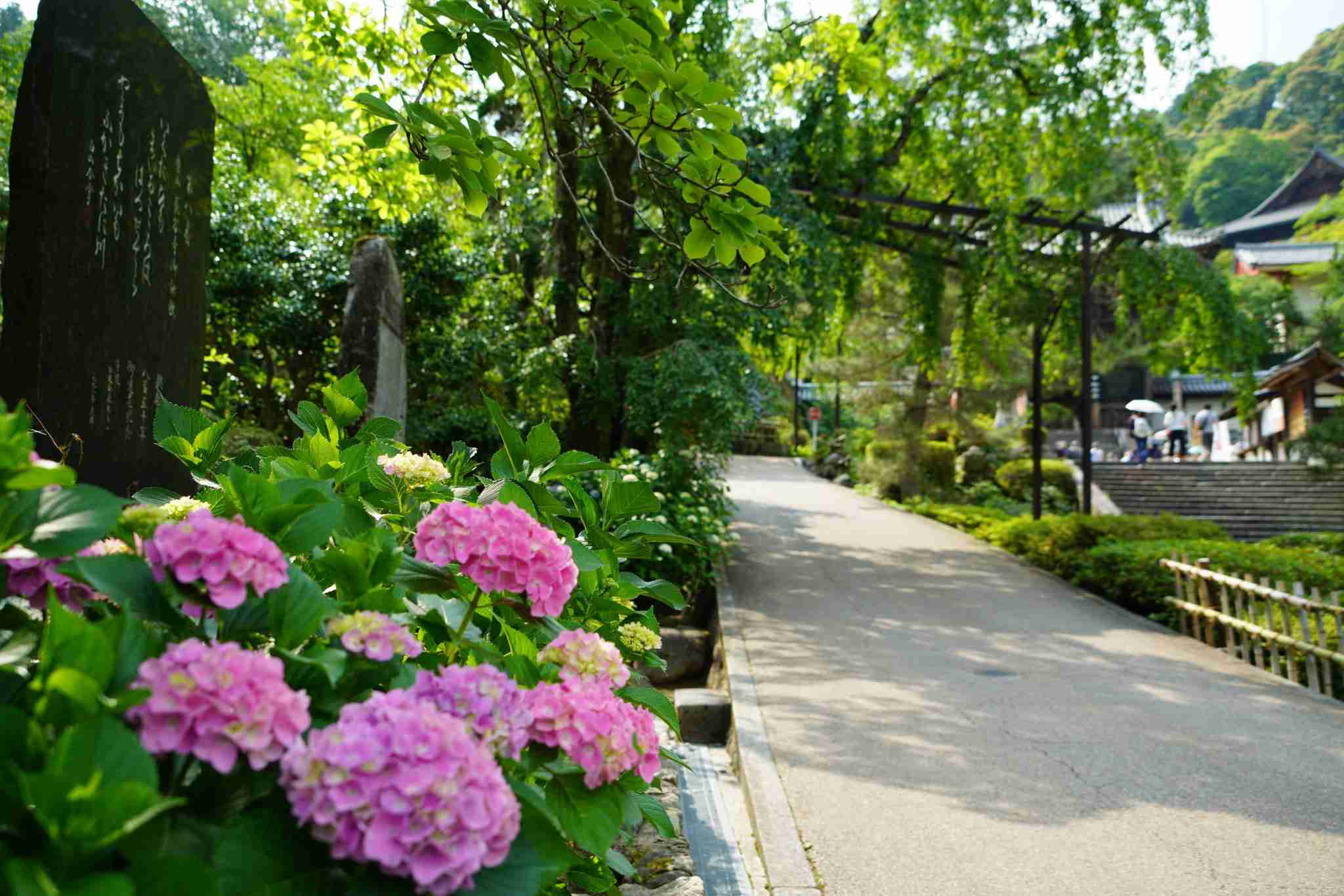 【語りたい】『真相深入り！虎ノ門ニュース』Part.9