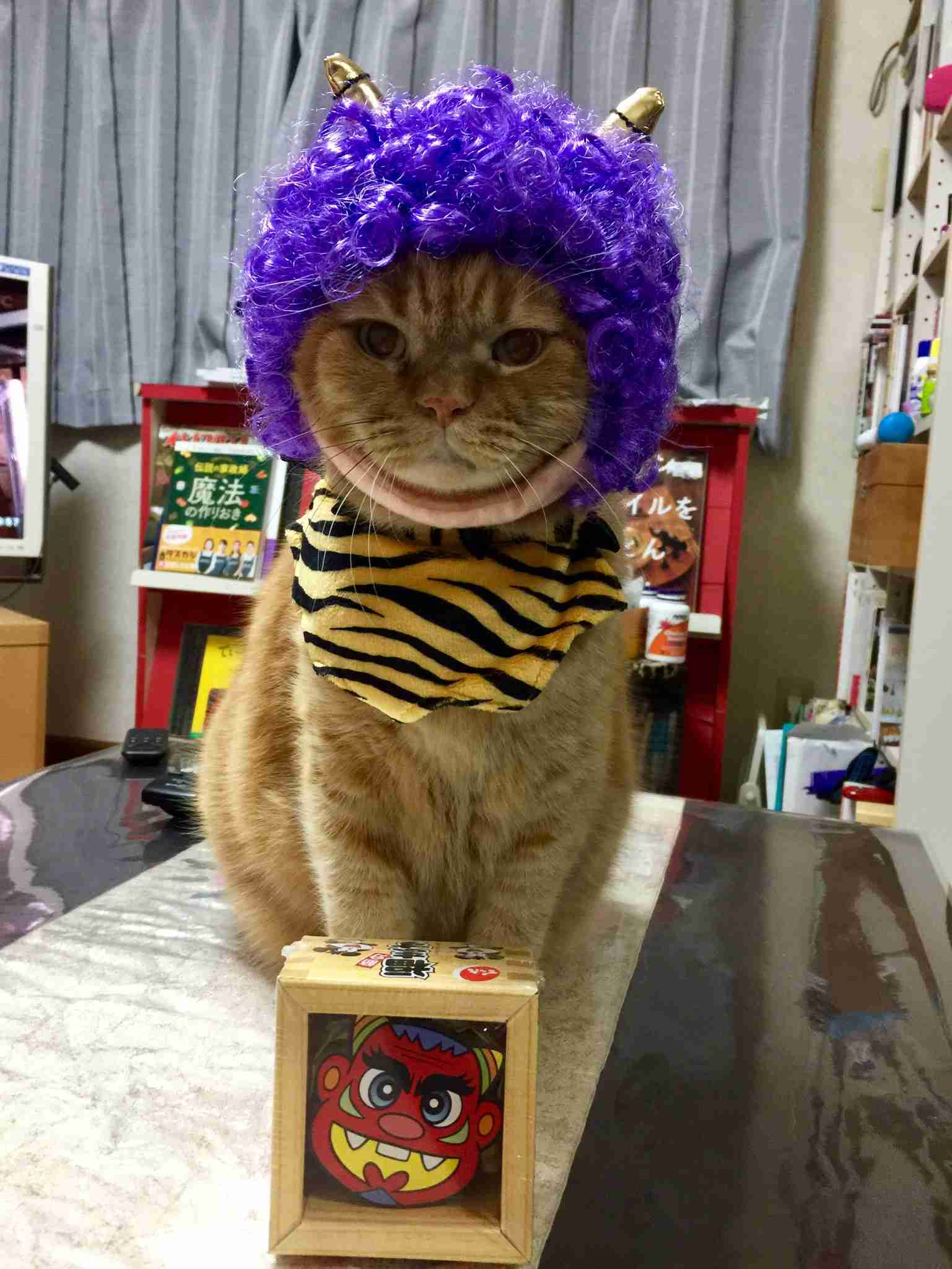 (身バレしない程度に)お宅の猫ちゃん見せてください!part3