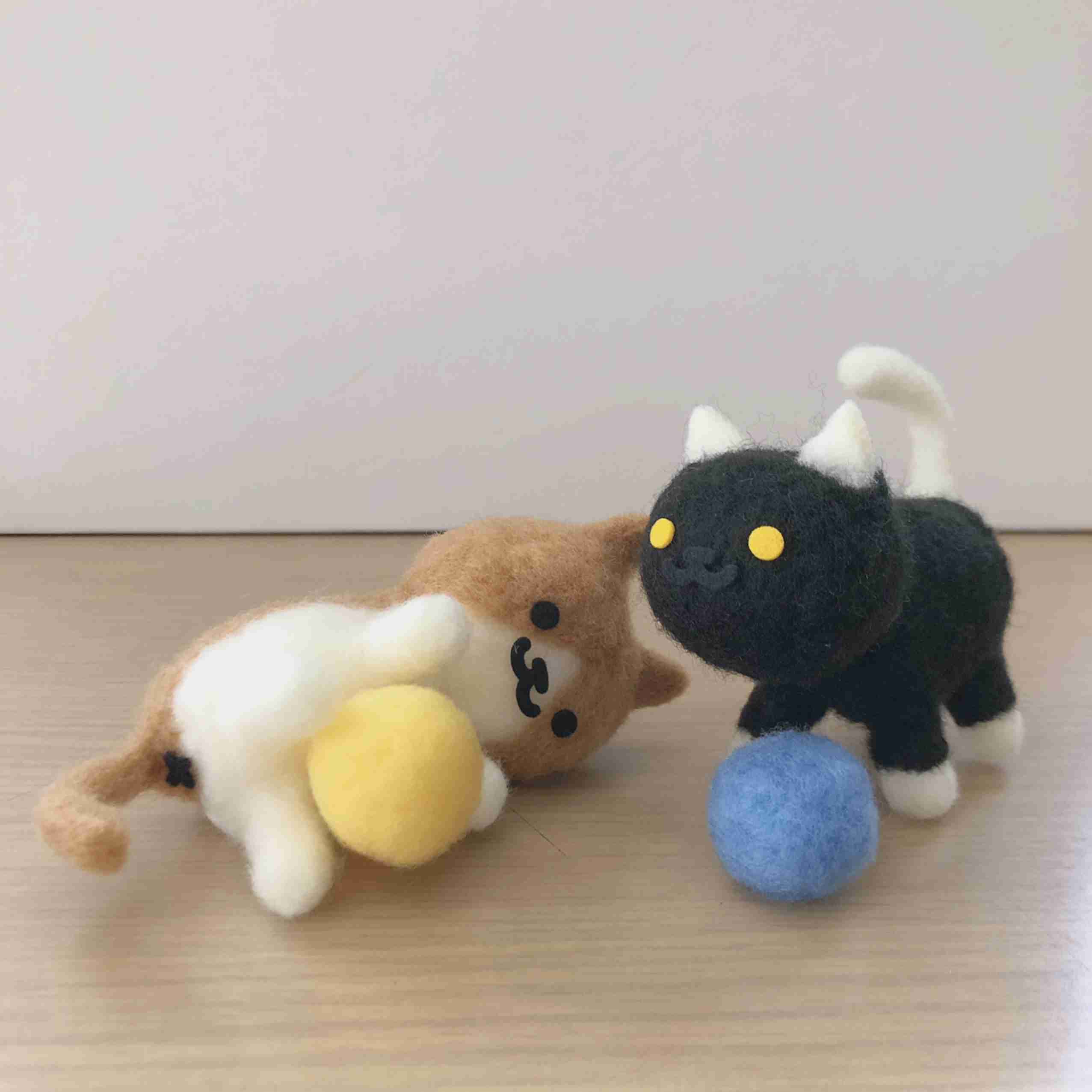 (身バレしない程度に)お宅の猫ちゃん見せてください!part3
