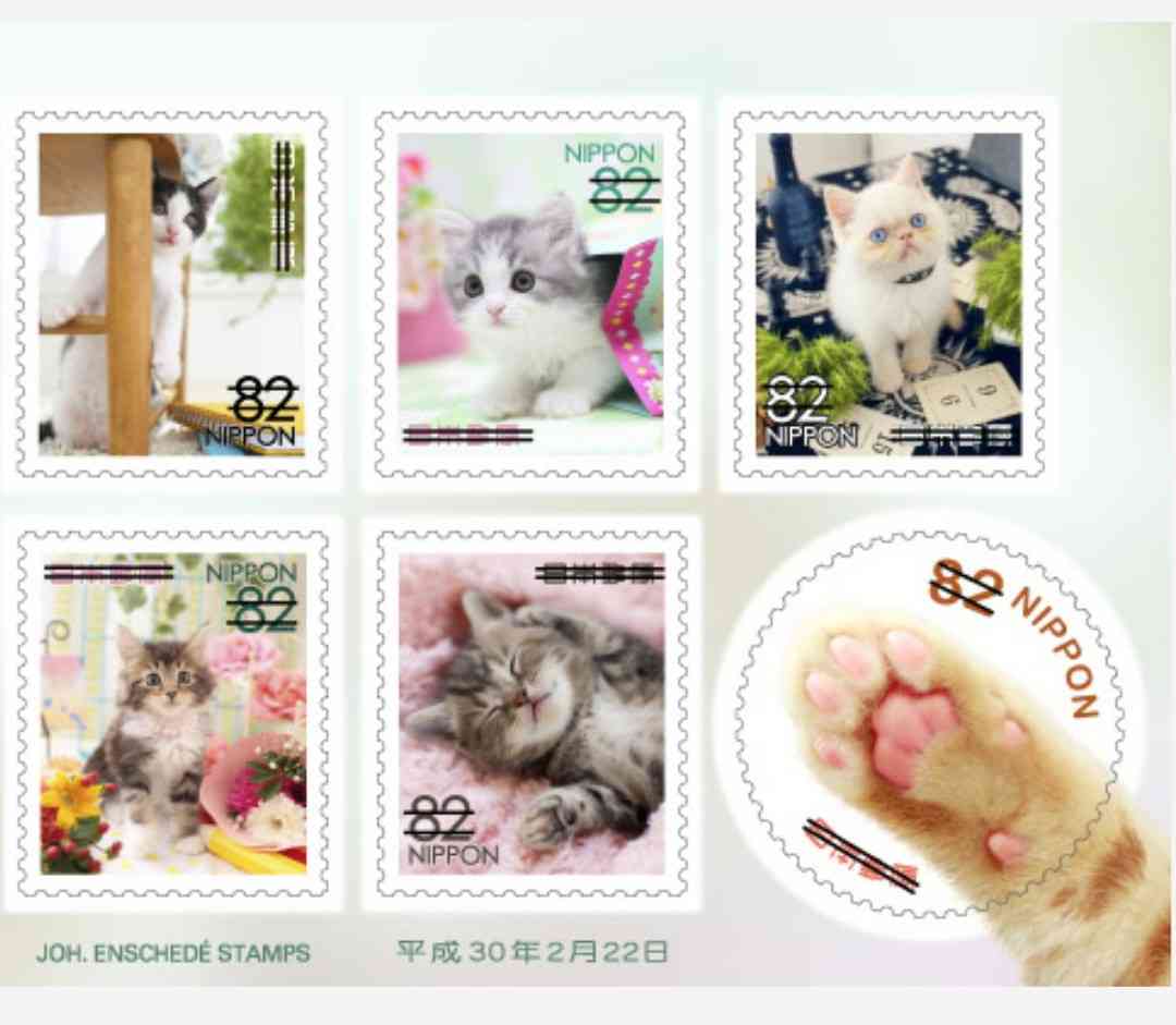 色んな肉球を見てみたい