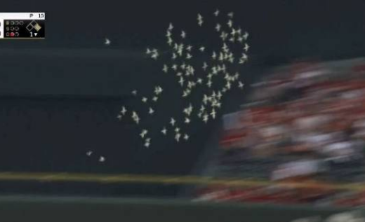 【定期】プロ野球総合トピ⚾