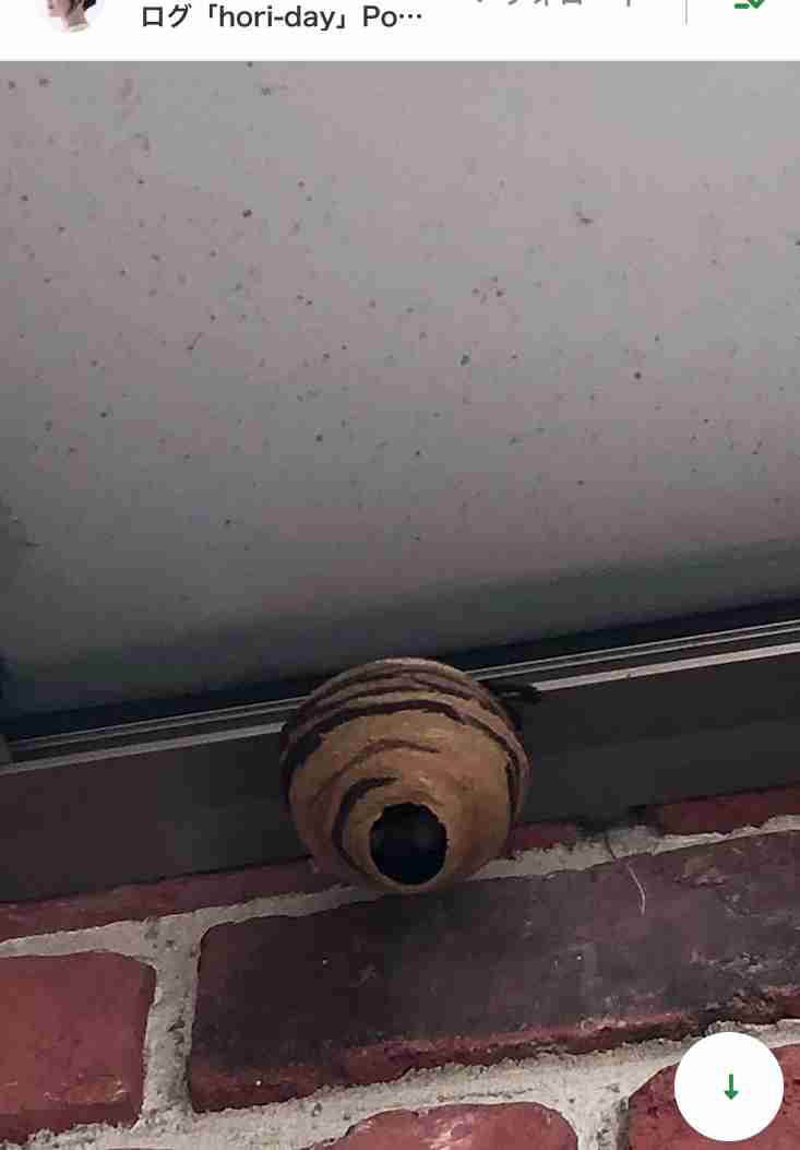 堀ちえみ「怖いよぉ～どうしたらいいの？」初の事態に驚き「人生っていろんな事が起きるなぁ」