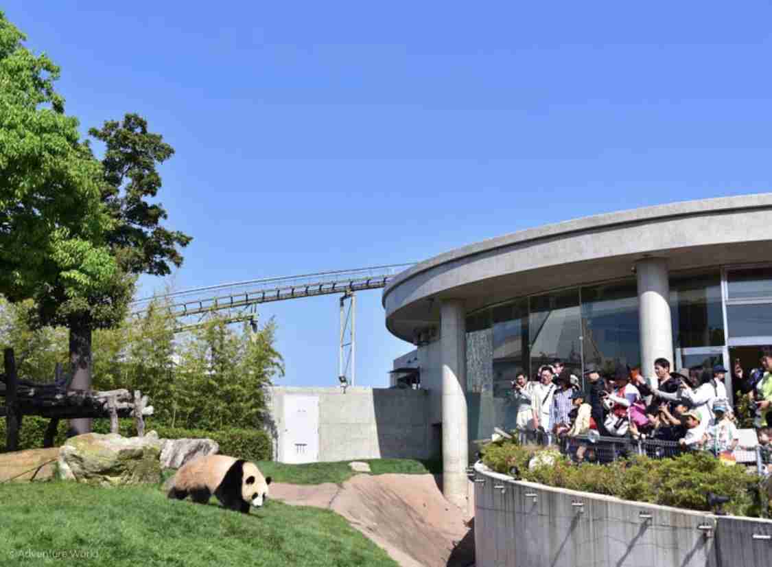 和歌山県の自殺率 全国最悪に