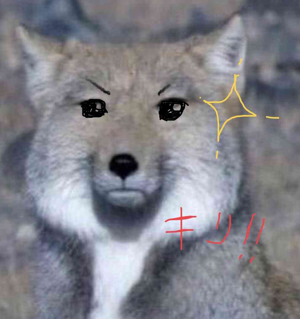 ガルちゃんでお馴染みの画像を可愛くするトピ