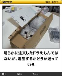 返品交換したことある?