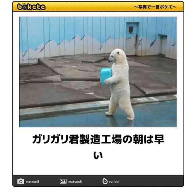 動物のboketeを貼るトピpart4