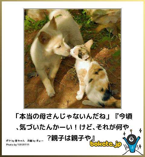 動物のboketeを貼るトピpart4