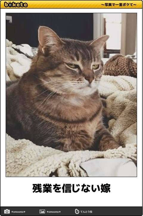 動物のboketeを貼るトピpart4
