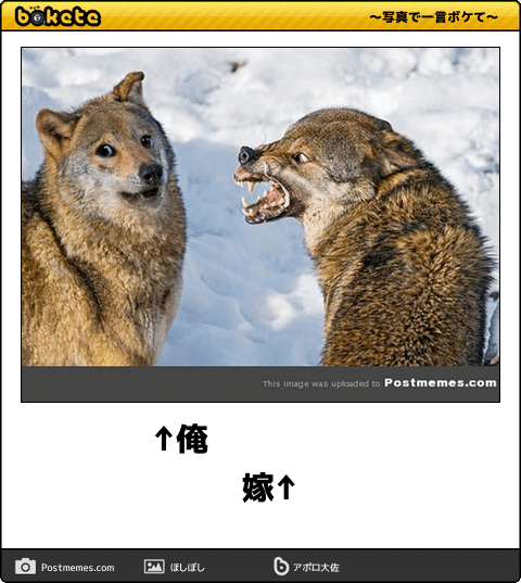 動物のboketeを貼るトピpart4