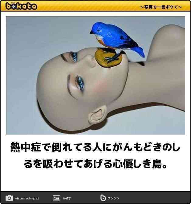 動物のboketeを貼るトピpart4