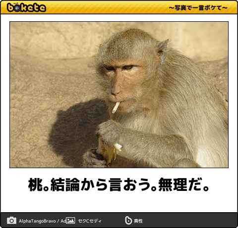 動物のboketeを貼るトピpart4