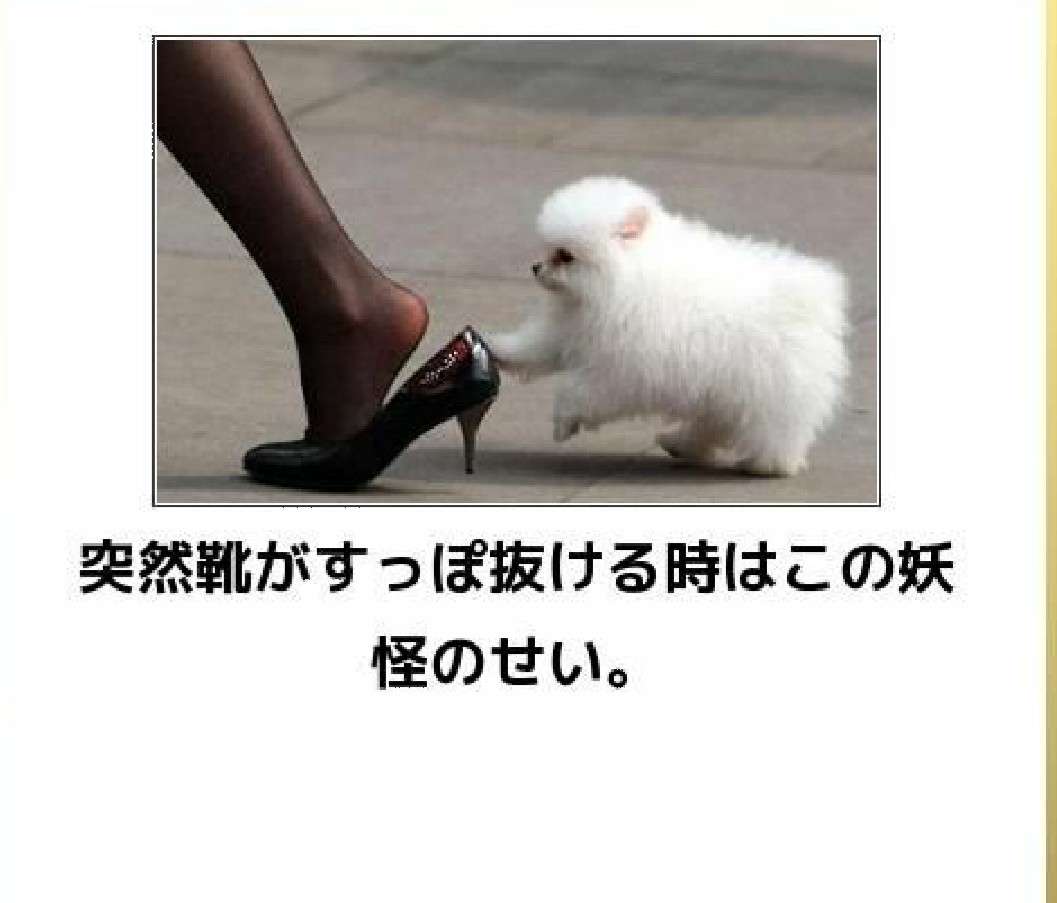 動物のboketeを貼るトピpart4