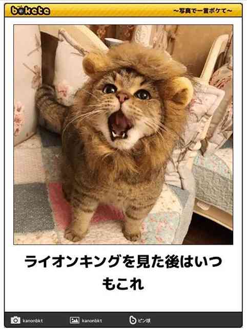 動物のboketeを貼るトピpart4