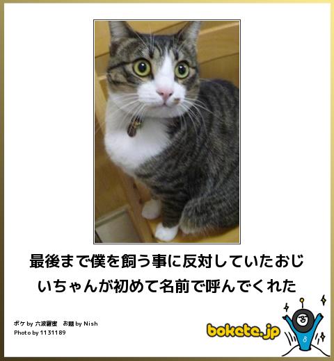 動物のboketeを貼るトピpart4