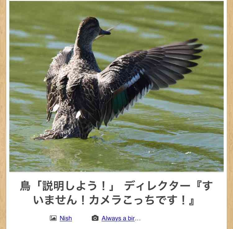 動物のboketeを貼るトピpart4