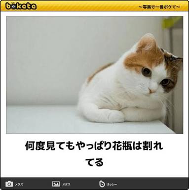 動物のboketeを貼るトピpart4