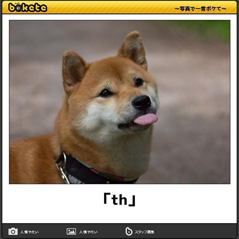 動物のboketeを貼るトピpart4