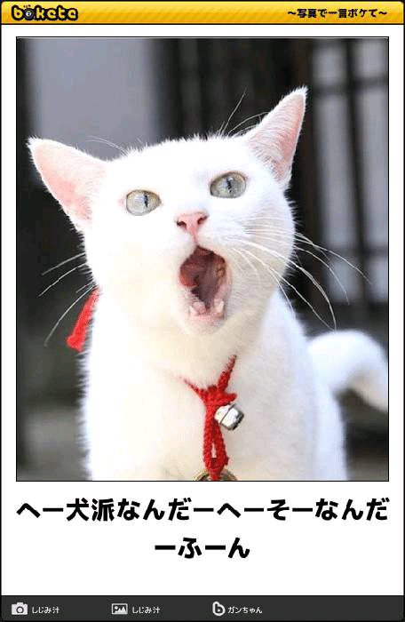 動物のboketeを貼るトピpart4