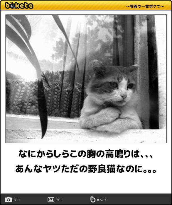 動物のboketeを貼るトピpart4