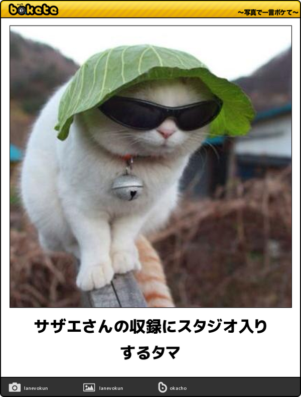 動物のboketeを貼るトピpart4