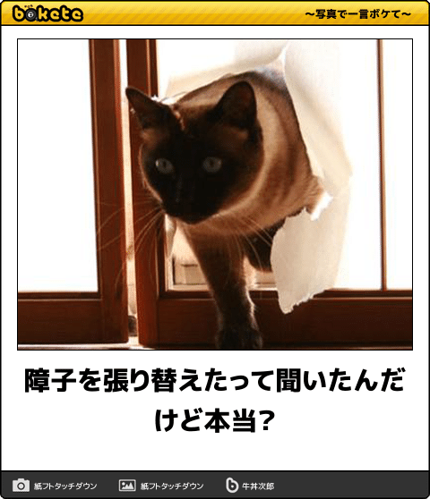 動物のboketeを貼るトピpart4