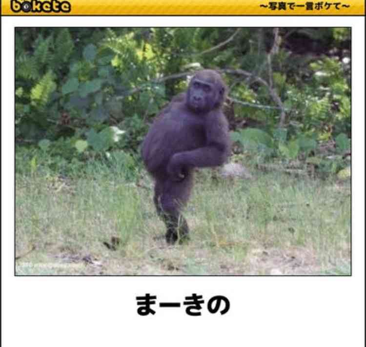 動物のboketeを貼るトピpart4
