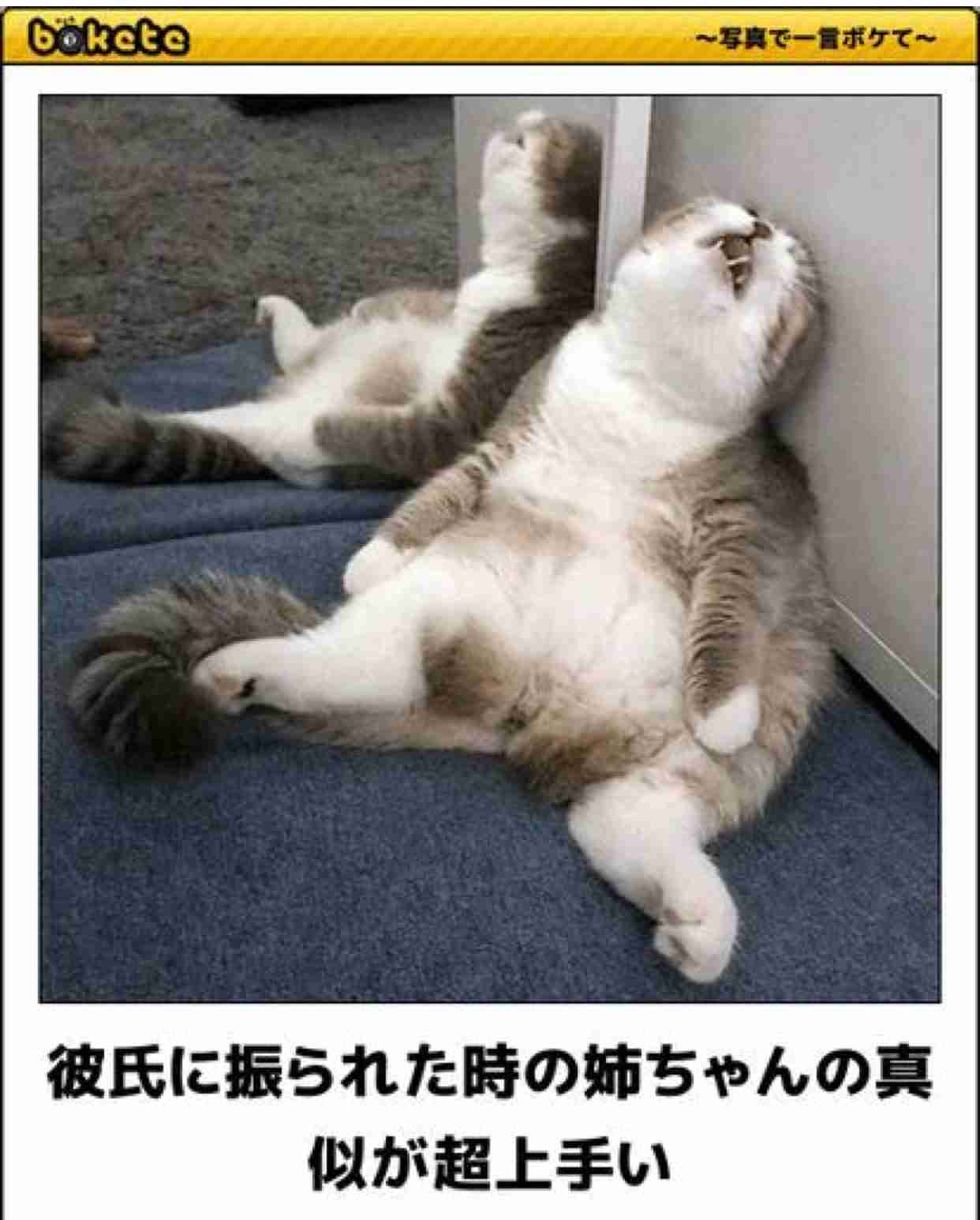 動物のboketeを貼るトピpart4