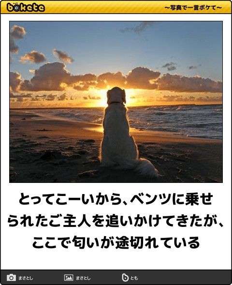 動物のboketeを貼るトピpart4