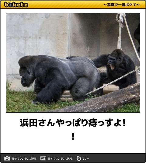 動物のboketeを貼るトピpart4