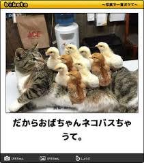 動物のboketeを貼るトピpart4