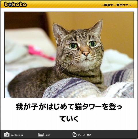 動物のboketeを貼るトピpart4