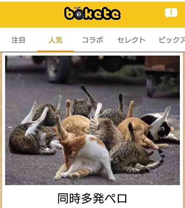 動物のboketeを貼るトピpart4