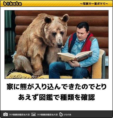 動物のboketeを貼るトピpart4