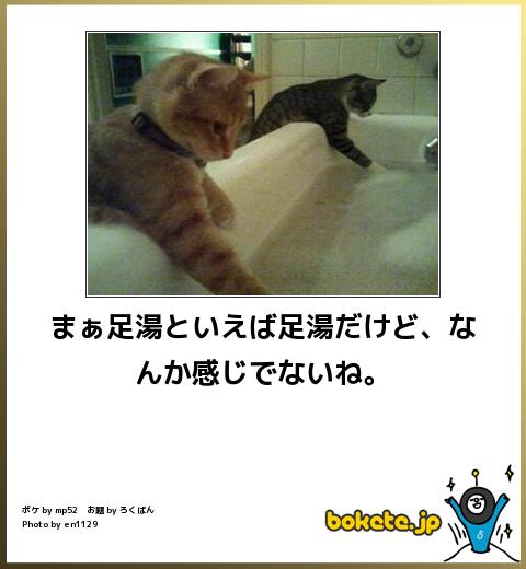 動物のboketeを貼るトピpart4