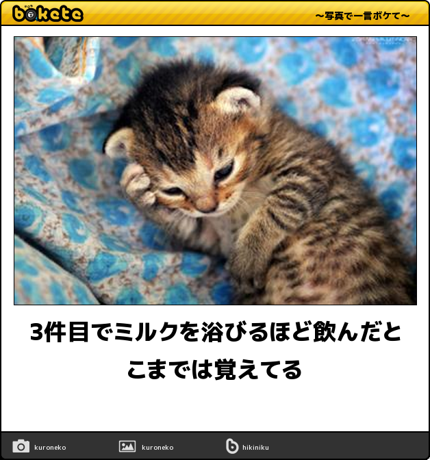動物のboketeを貼るトピpart4