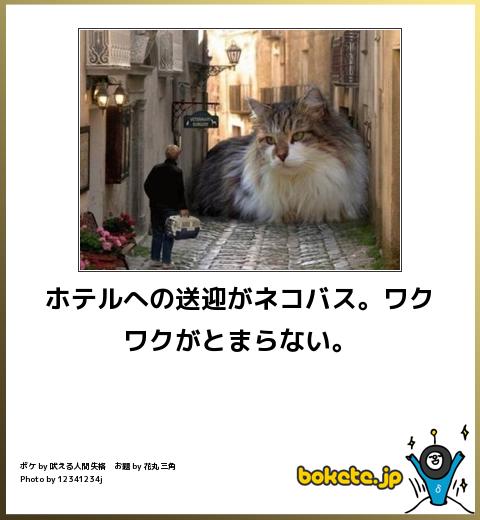動物のboketeを貼るトピpart4